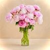 peonie1990